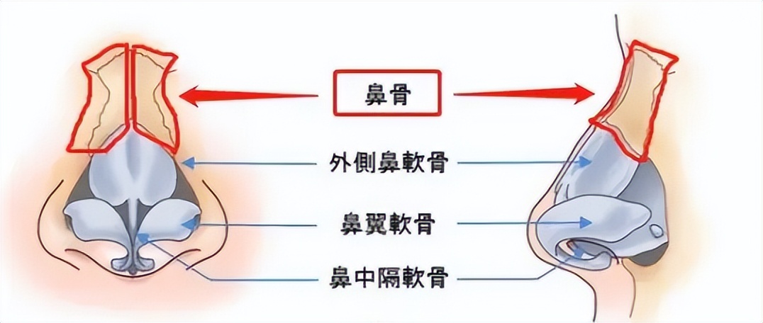 九院韦敏介绍,九院韦敏隆鼻多少钱