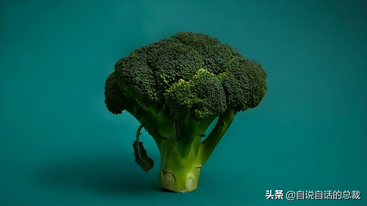 龙虾青龙和花龙区别,龙虾也是生物为什么我们要吃它