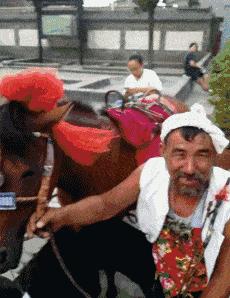 性取向测试,性取向测试怎么看结果