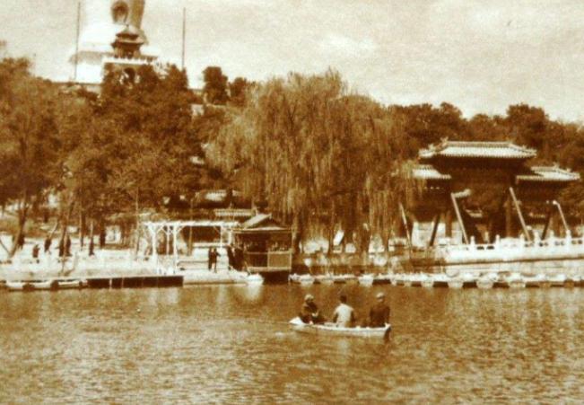 荷兰姑娘米拉,荷兰姑娘米拉和杨宝禄的爱情故事