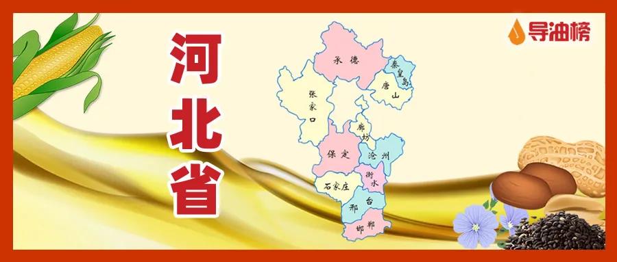 食用油十大品牌生产商,推荐的食用油