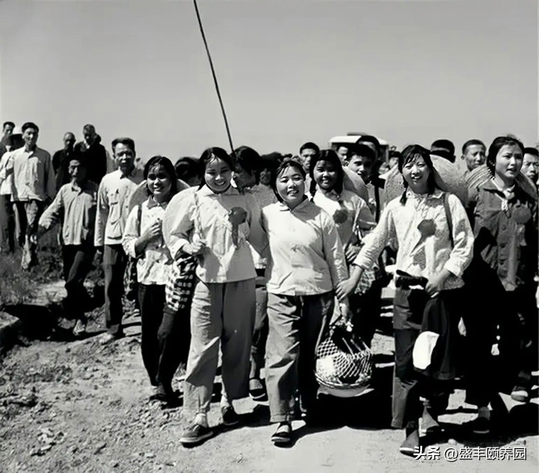 一首知青之歌感动了3000万人,知青之歌冤案始末下集