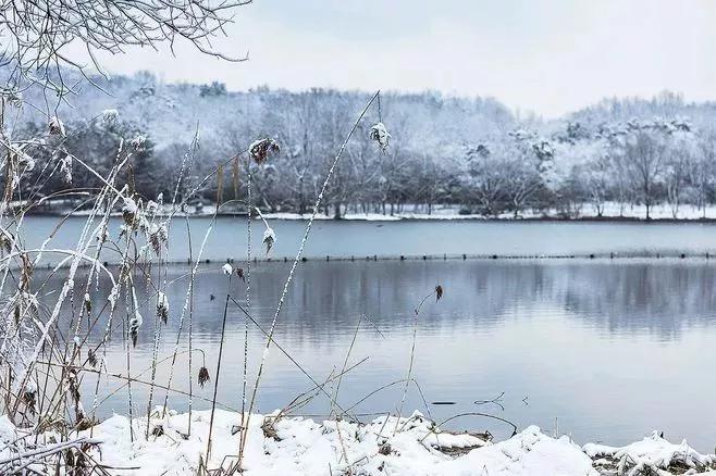 今天2022年数九第几九了,几九最冷2022年数九天时间表