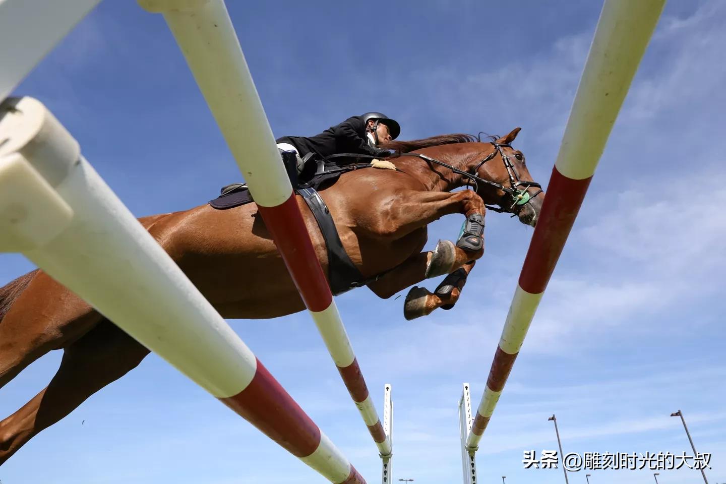 佳能eosr6索尼a7r3哪个好,索尼a7r4佳能eosr6对比