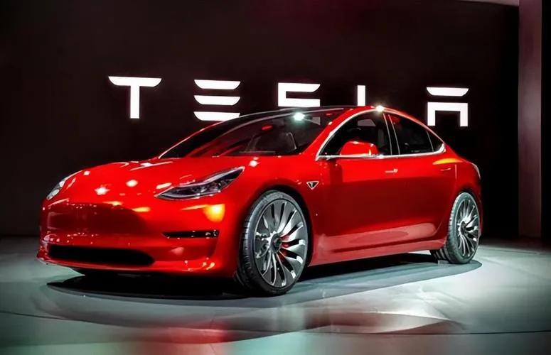 一个回乡青年的艰辛创业心声,高知青年回乡创业