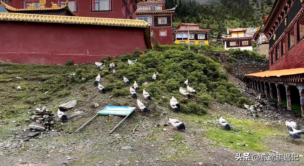 除了大海还有哪里美丽,川西必去和不去推荐