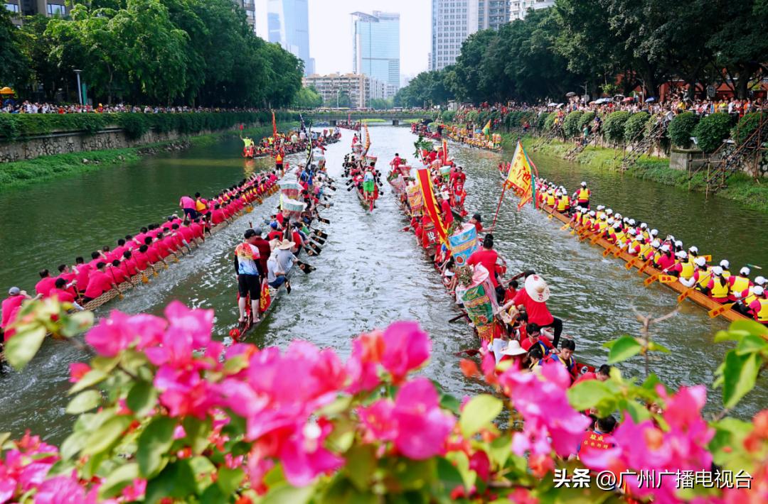广州多区“睇龙船”超全指南,广东“睇龙船”指南来了