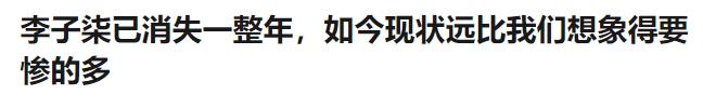 李子柒停更有收入吗,李子柒停更两年多仍有近亿粉丝