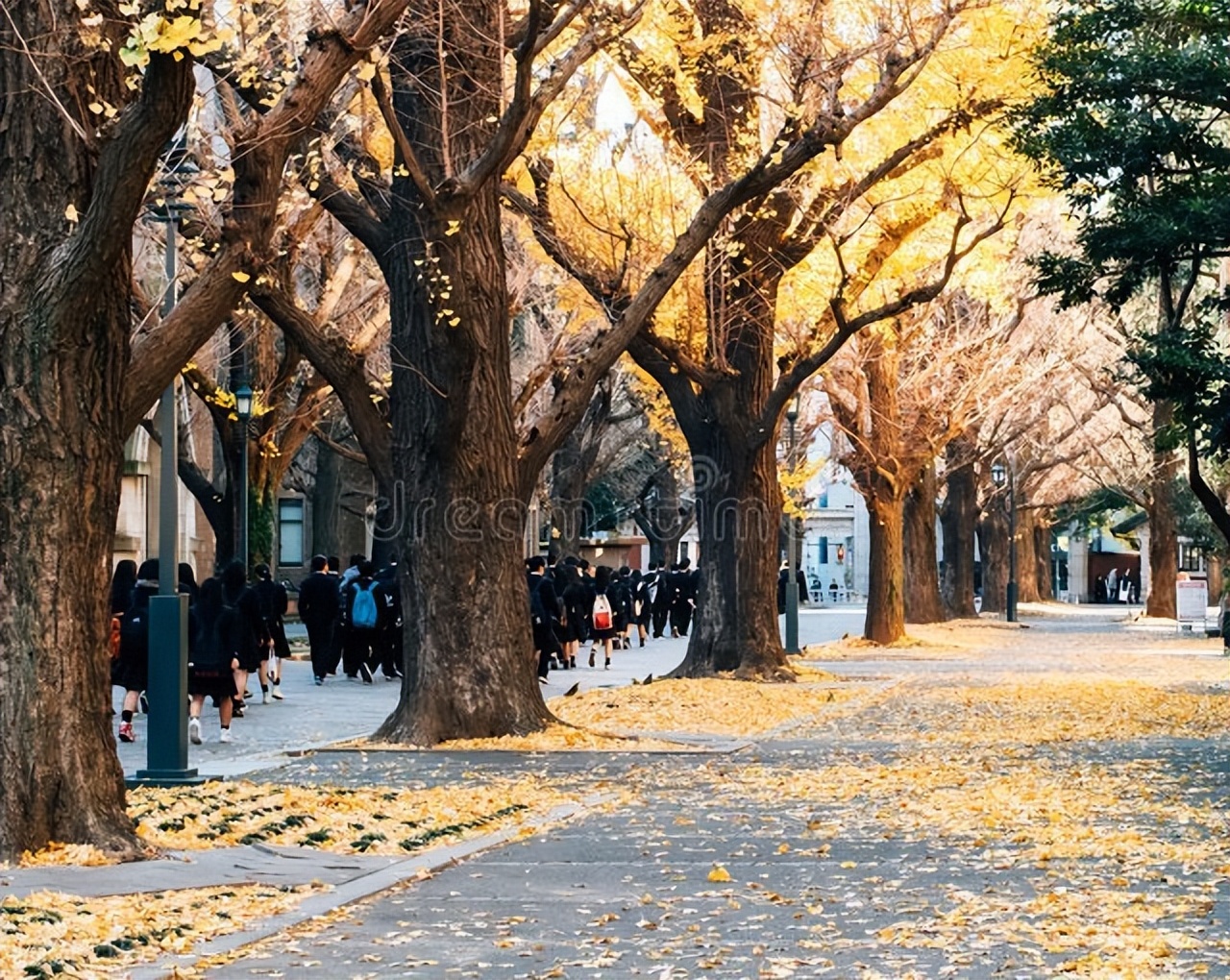 亚洲第一高校东京大学