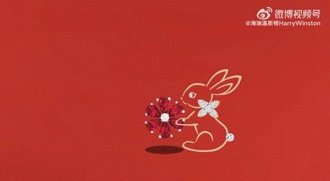 gucci扑克多少钱,gucci扑克