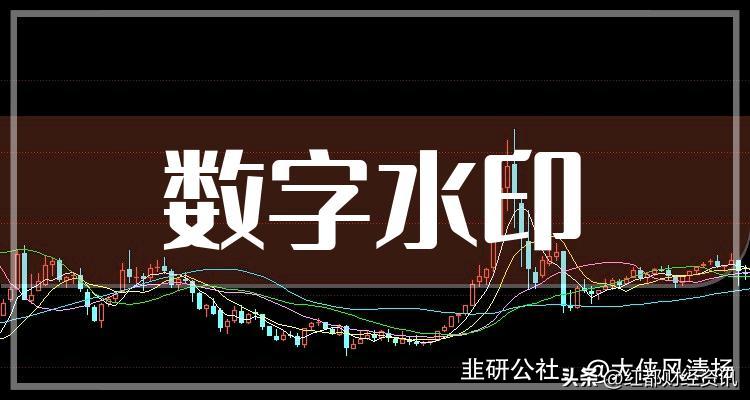 数字水印分类图解,一文看懂数字水印