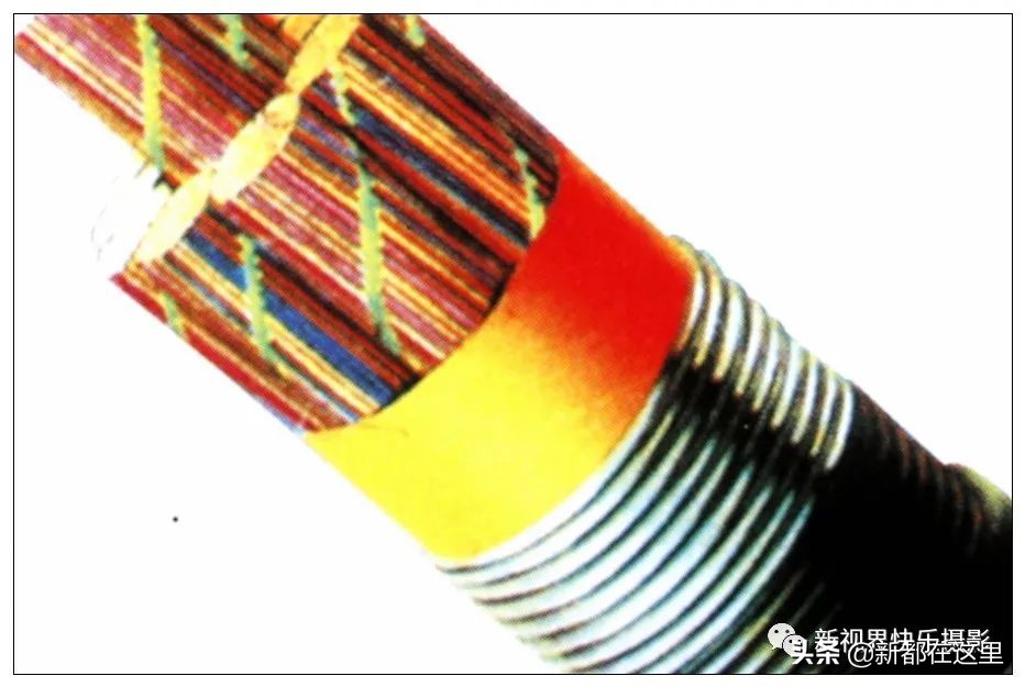 新都区老影像,新都记忆老照片