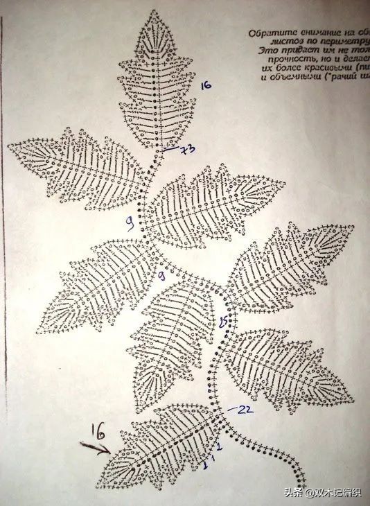 爱尔兰花和叶子大全，最令人心动的钩编之法