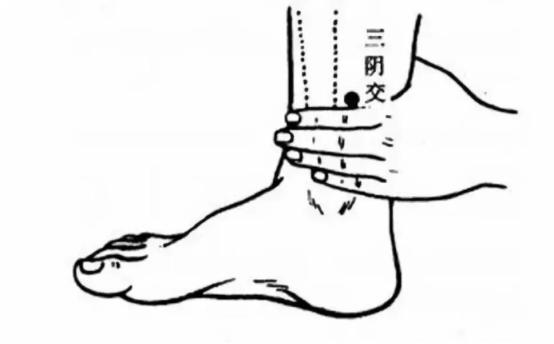 按哪个穴位是保护卵巢的,呵护卵巢运动