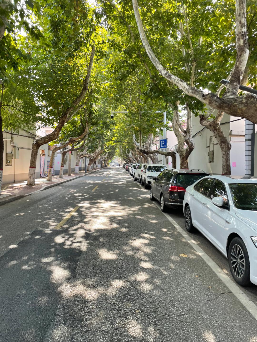 环山东骑行日记青岛平度市,环滇骑行日记100字