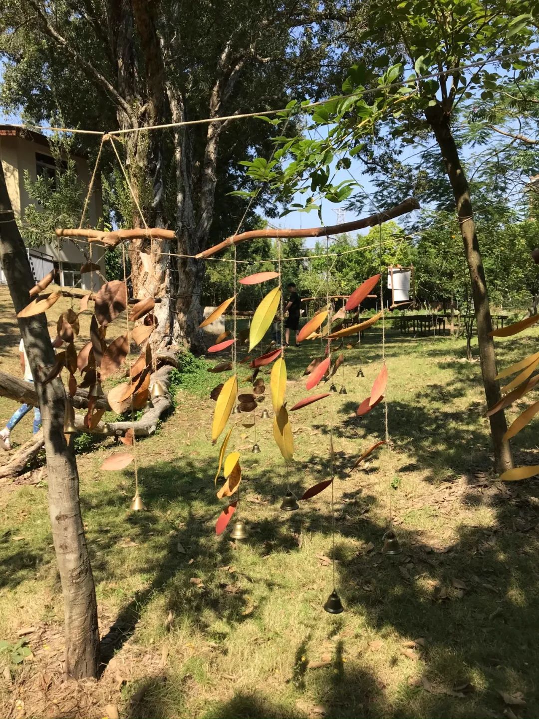 一个有大片绿地、果树、鱼塘、菜地，还有小鸡和鸭子的小岛幼儿园