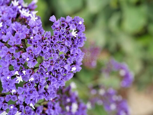 微信使用其他头像和昵称,微信头像与名字的重要性