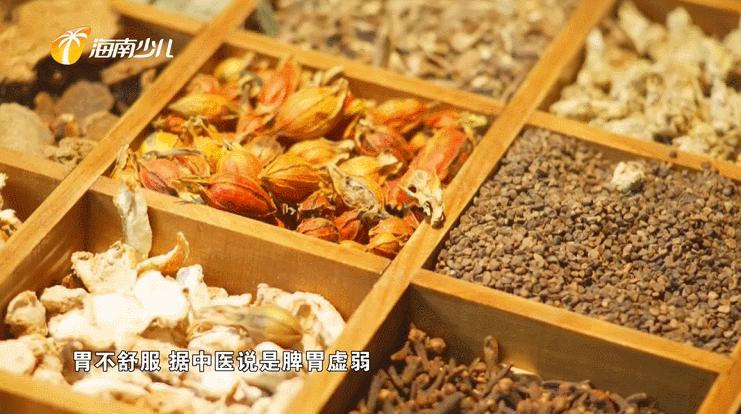 健康海南|你想了解你的胃吗？“中西医”有话说！