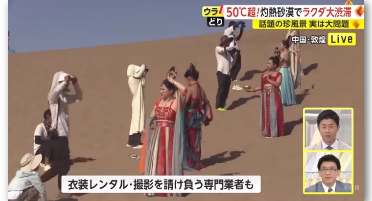 日本记者敦煌堵骆驼,日本记者直播连线冰墩墩