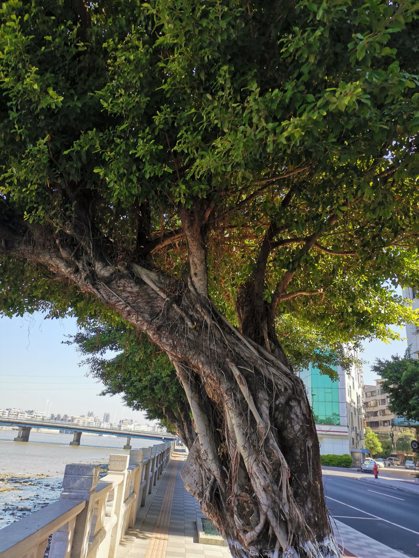 英语单词高频形容词,含dis否定前缀的单词