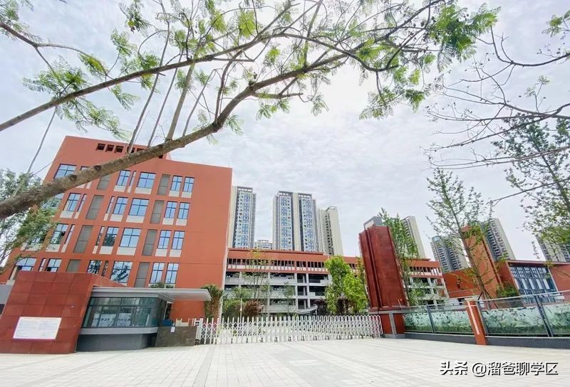 青羊新城与二八板块哪个更好,成都青羊区二八板块是哪些