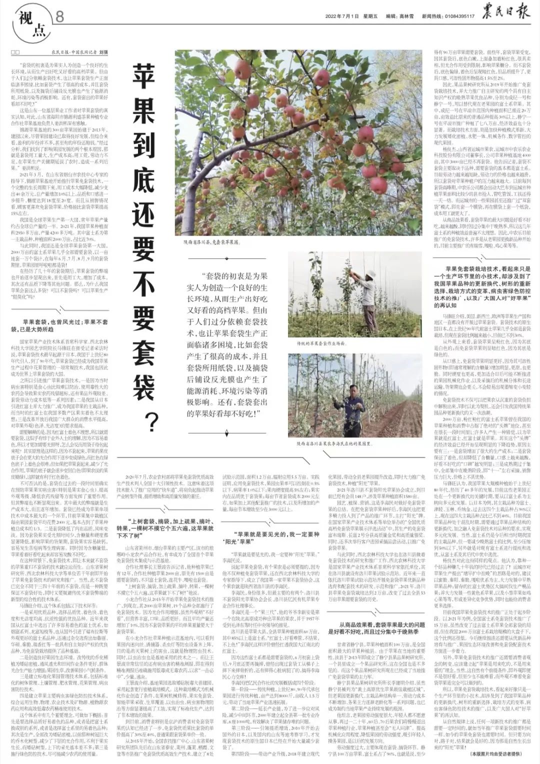 苹果到底还要不要套袋,苹果套袋的视频教程