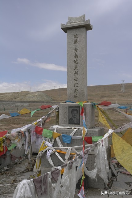 青海湟鱼那么多为什么要保护,救命的青海湖湟鱼