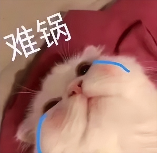 家里米面有虫子是怎么回事,米面有小小虫怎么去除最快方法