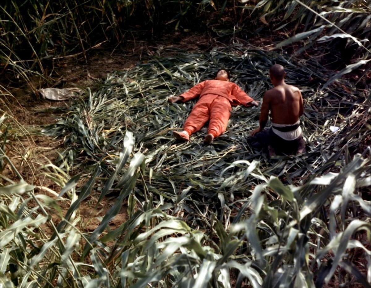 1988红高粱电影获奖,红高粱电影是第几届金像奖