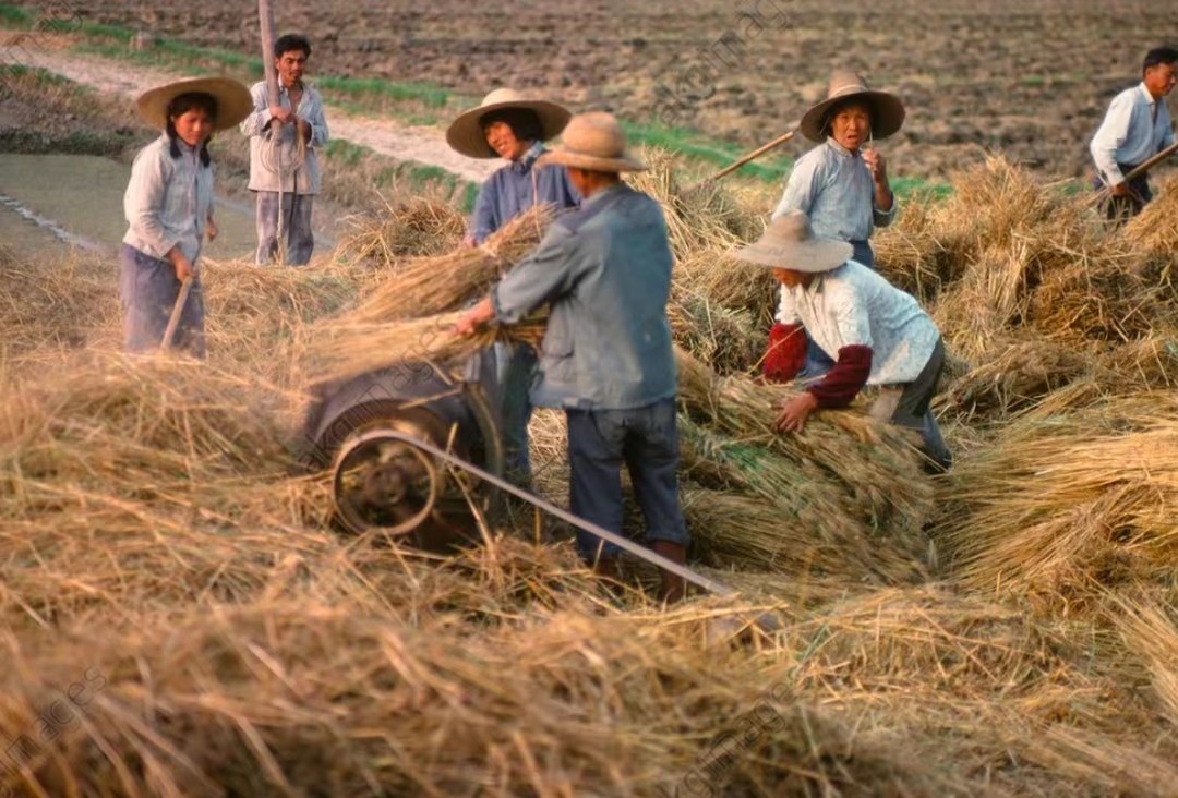 新农合涨价还能继续交吗,新农合涨价六类人不用交