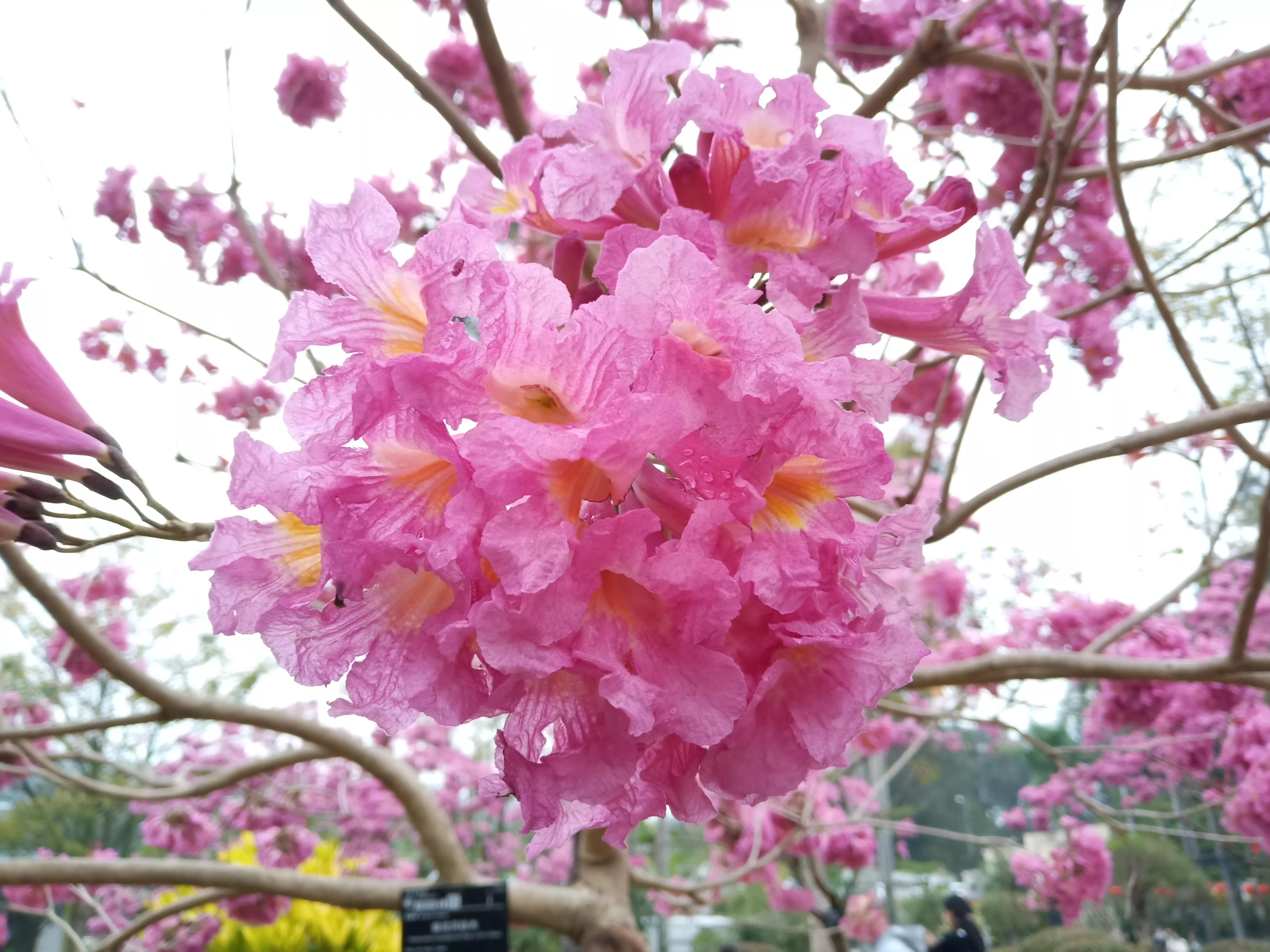 在广州打工一辈子也买不起一套房,在广州打工的真实生活感受