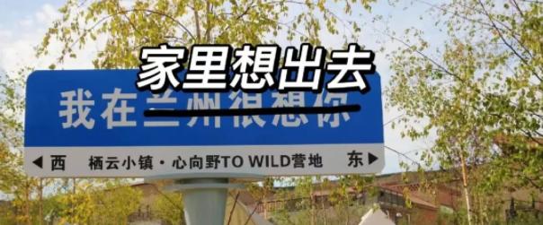 请对号入座详细解析,请对号入座详细解释