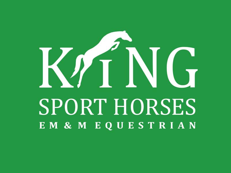 logos：万马奔腾踏山河！一组很有气势的马元素标志设计分享