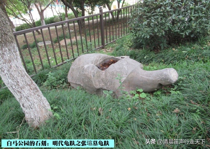 白马公园白马石刻朝代,公园石刻精品欣赏