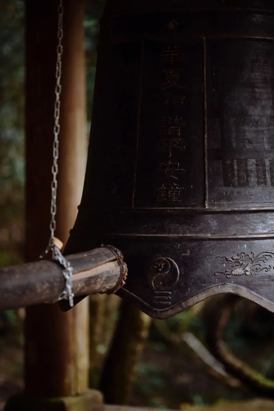 倾情荐读：时间的名字