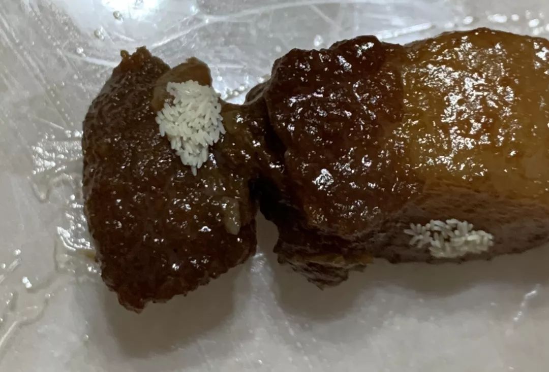 比较隐秘的灭苍蝇方法,苍蝇知识科普让你更了解苍蝇