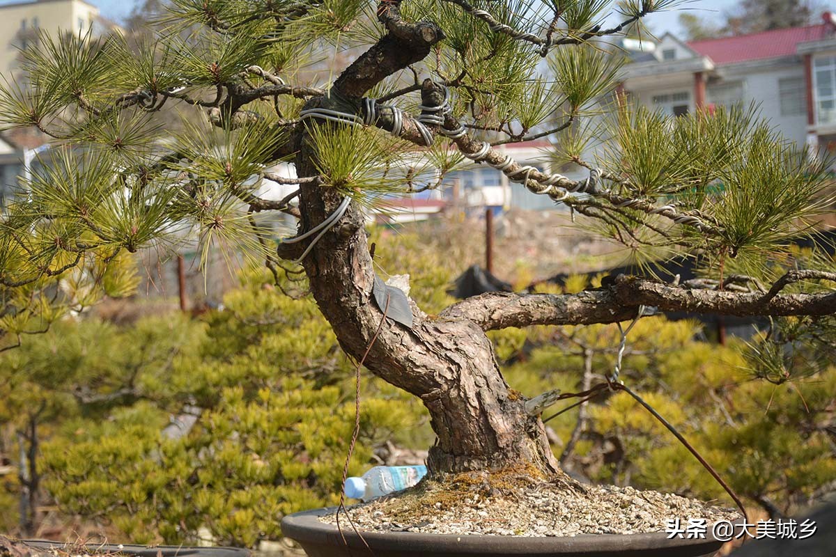 农村普通人做生意,农村人做点小生意不容易啊