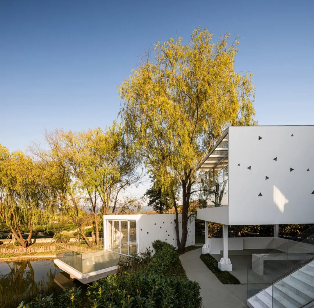 设计型民宿酒店,全球酒店民宿设计排名前十