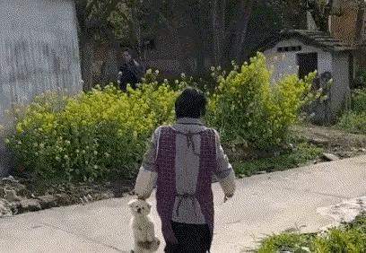 轻松一刻别跟我耍心眼,轻松一刻看你能找出几处不同