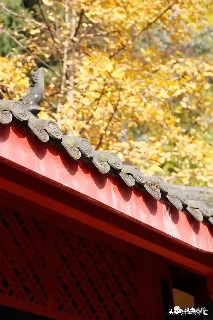 “自古名寺出名茶”，什么样的茶才能称为禅茶呢？