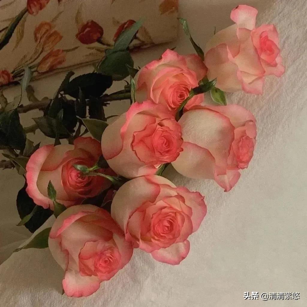 人民日报金句积累奋斗,人民日报100句金言