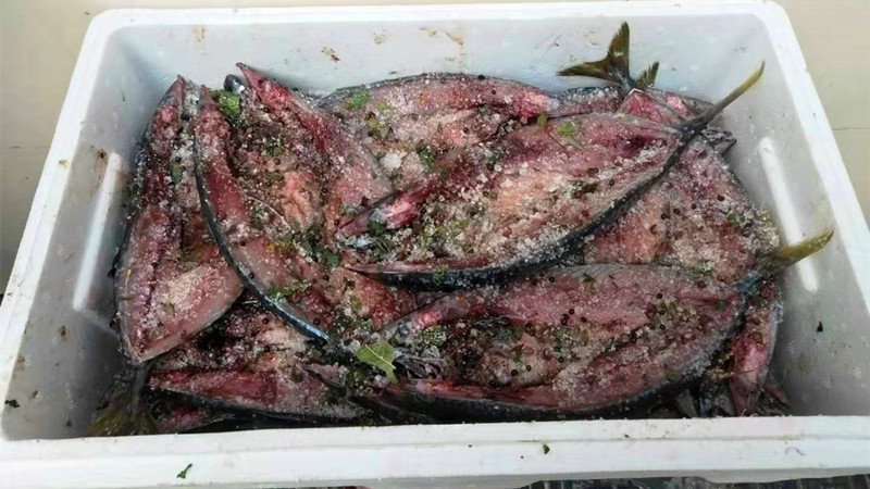 腌制的咸鱼晒干了怎么储存,咸鱼腌制几天可以风干