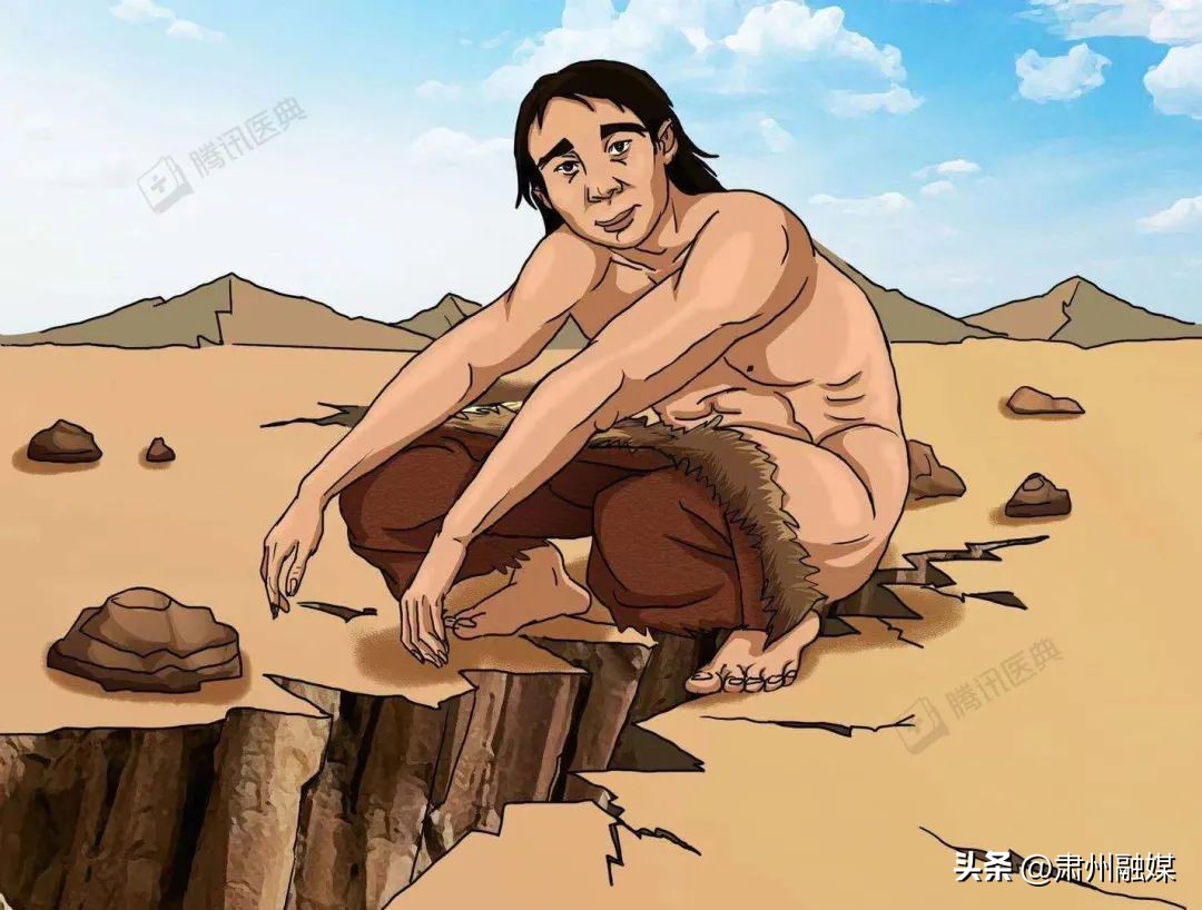 马桶和蹲便器哪个更脏,公共厕所马桶到底有多脏