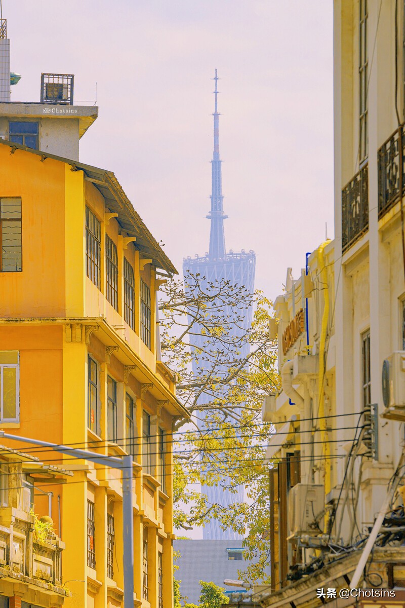 广州带小孩一日游攻略必去景点,广州一日游带你看看不一样的广州