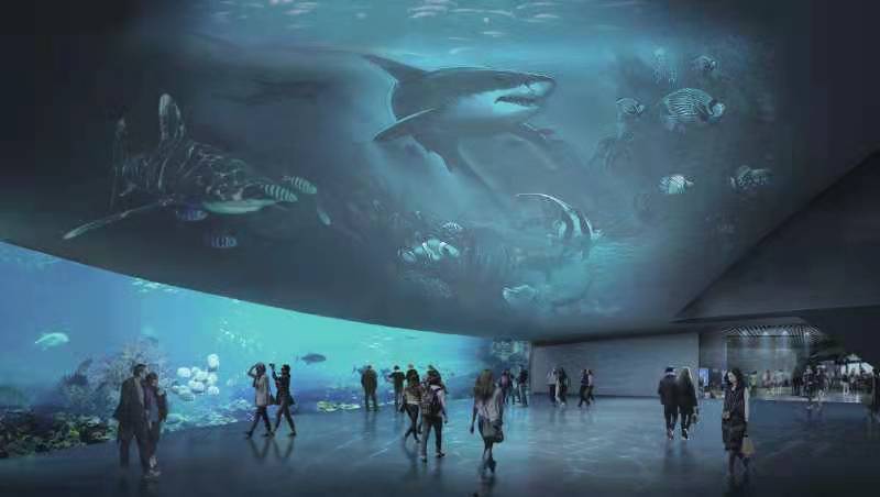 小梅沙海洋馆什么时候可以开,深圳海洋世界海洋馆开放了吗