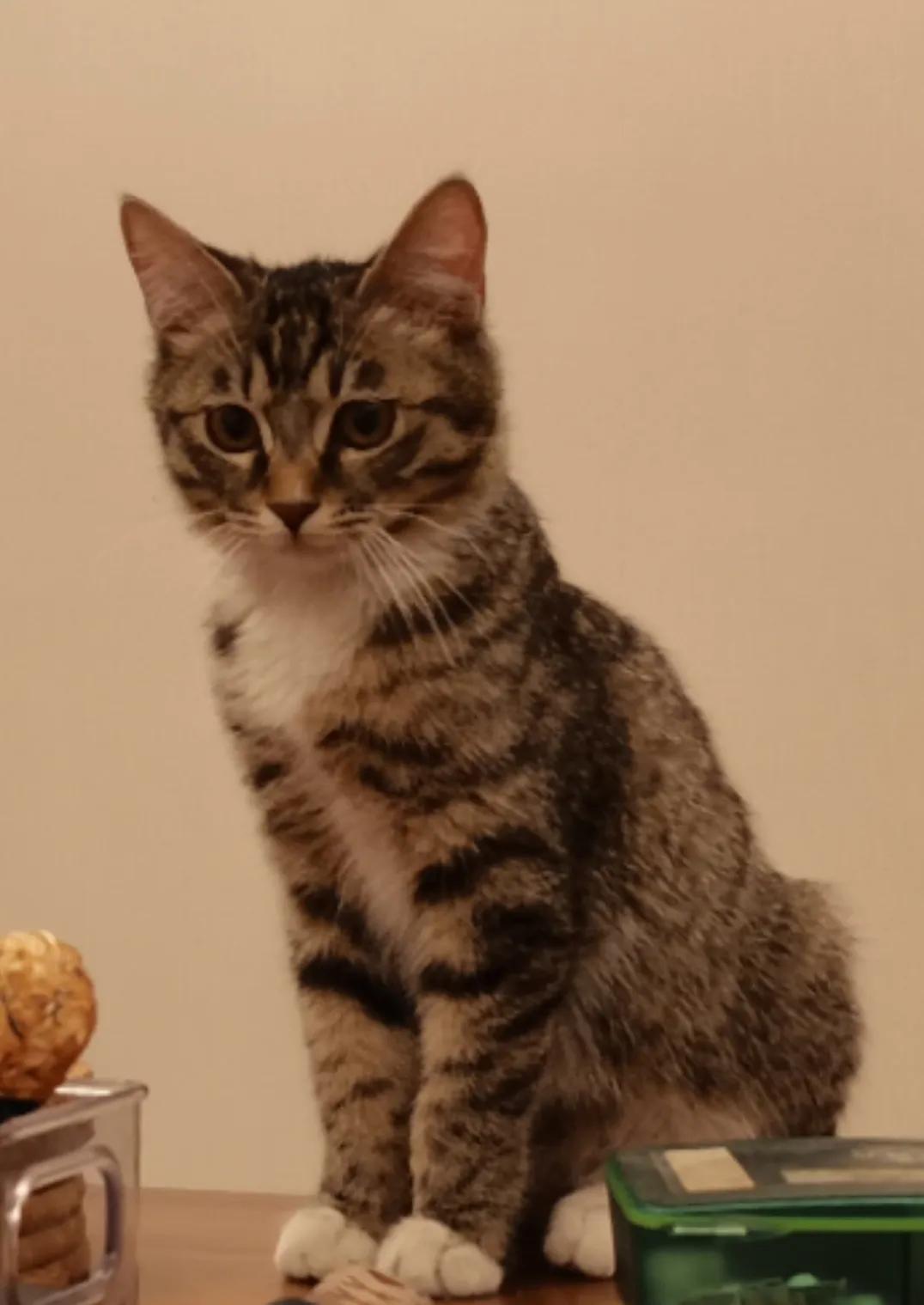 小记100字,小记最新视频全集