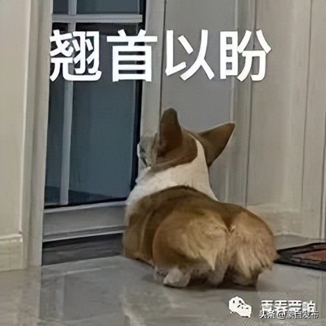 祥云大学生暑假返乡社会实践活动,暑期大学生返家乡社会实践