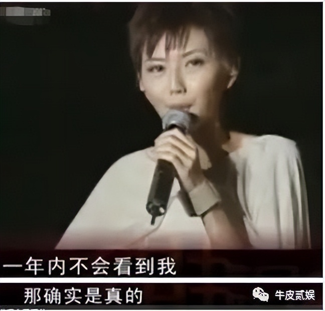 谁才是真正顶流歌手,90年代中国歌手顶流