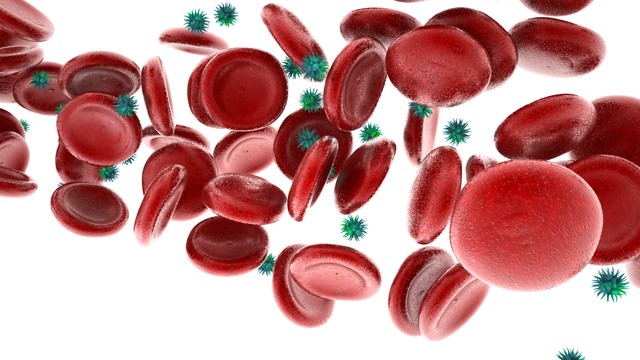 我眼中的新型冠状病毒前世今生,甲流病毒的前世今生