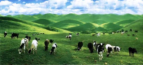 邵阳为什么这么有魅力,邵阳市区好吗